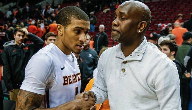 机会重回巅 机会重回巅