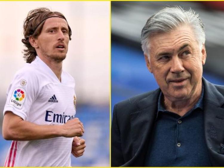 象起当时的 象起当时的