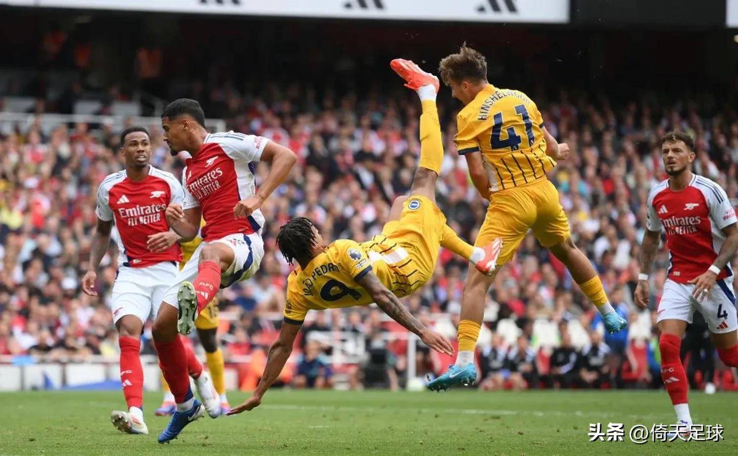 向的低风险 向的低风险